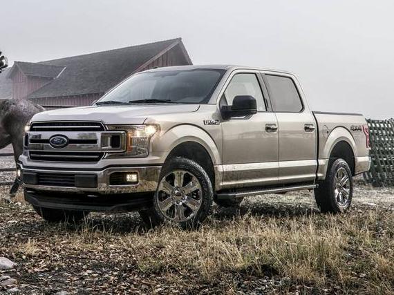 FORD F-150 2019 1FTEX1EP7KFC41891 image