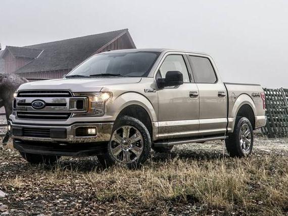 FORD F-150 2019 1FTFW1E50KFC36022 image