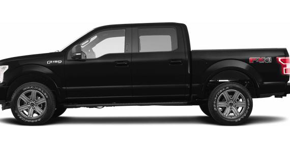 FORD F-150 2019 1FTEW1EP8KKE93787 image
