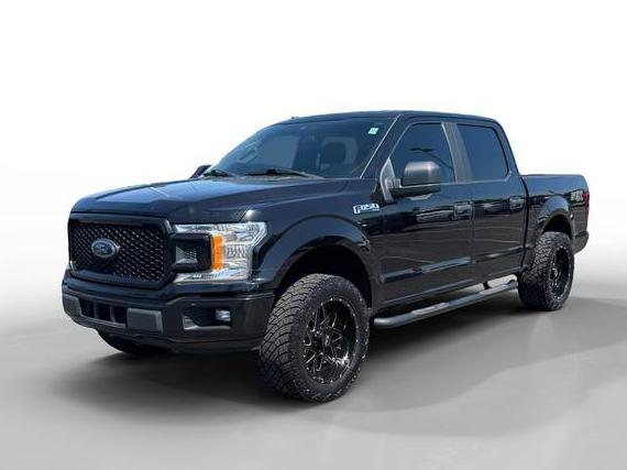 FORD F-150 2019 1FTEW1CP3KKE81694 image