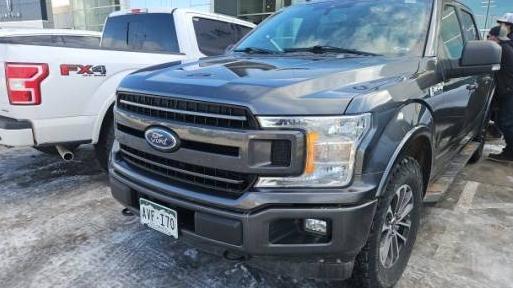 FORD F-150 2019 1FTEW1EP6KFC25006 image