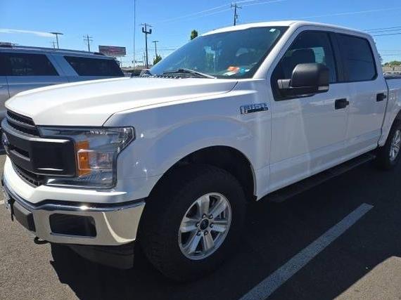 FORD F-150 2019 1FTEW1EP5KKE80009 image