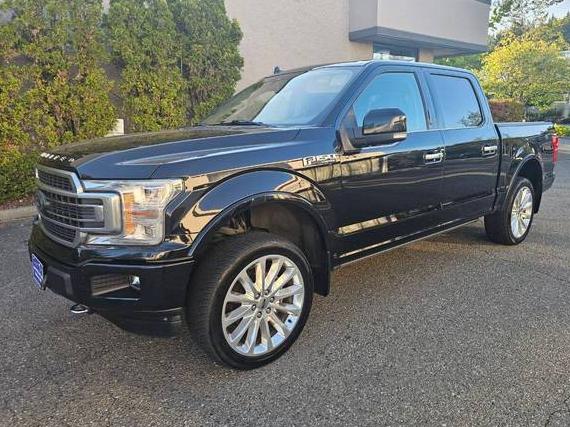 FORD F-150 2019 1FTEW1EG6KFC67790 image