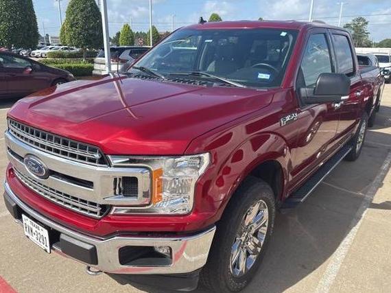 FORD F-150 2019 1FTEW1E40KKE46274 image