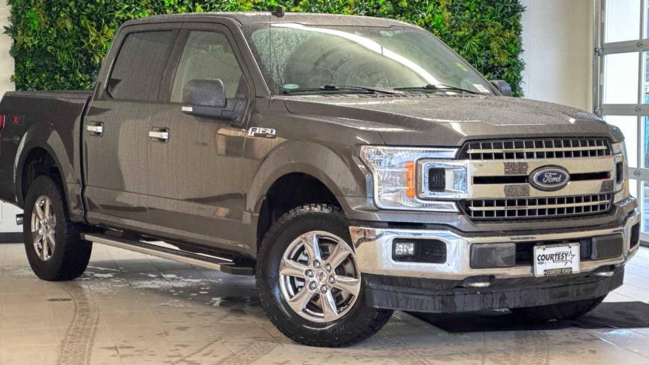 FORD F-150 2019 1FTEW1EP5KKC87715 image