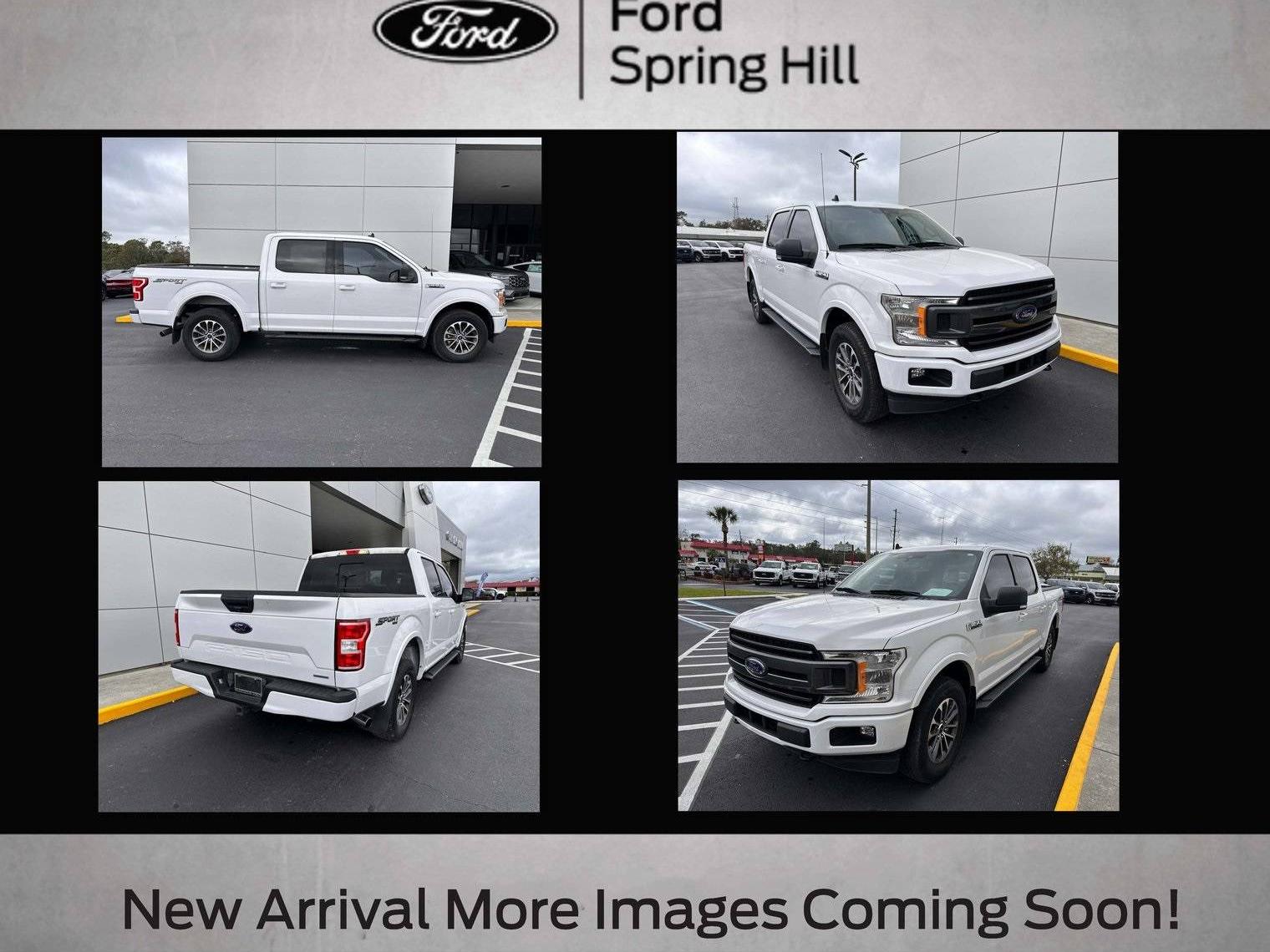 FORD F-150 2019 1FTEW1EPXKFB33400 image