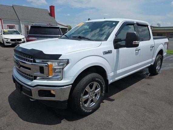 FORD F-150 2019 1FTEW1EP7KKE97278 image