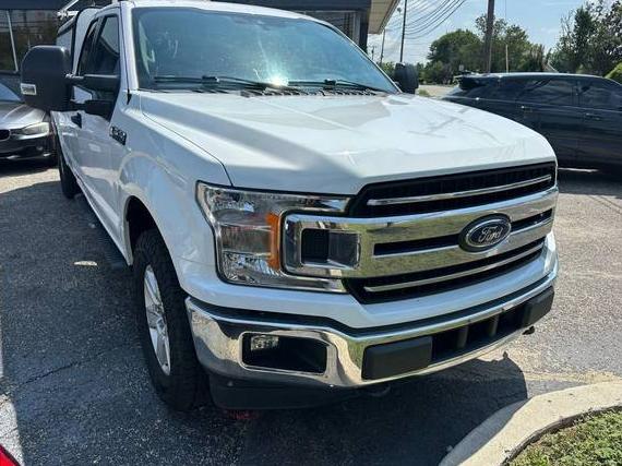 FORD F-150 2019 1FTFX1E46KKE41453 image