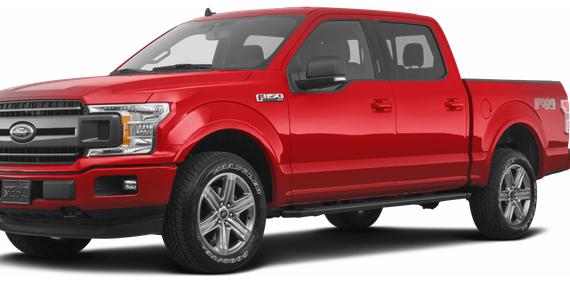 FORD F-150 2019 1FTEW1EP1KFB15559 image