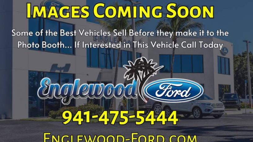 FORD F-150 2019 1FTFW1RG3KFA12660 image