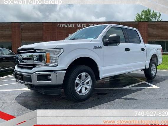 FORD F-150 2019 1FTEW1EP5KKD66477 image