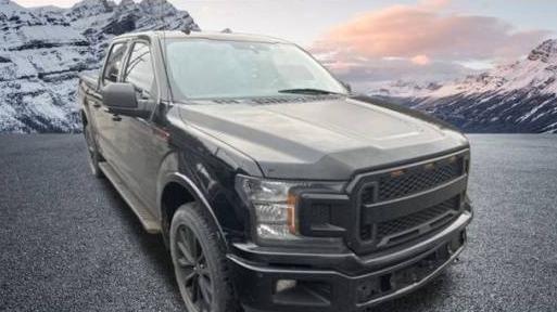 FORD F-150 2019 1FTEW1EP4KFA25175 image