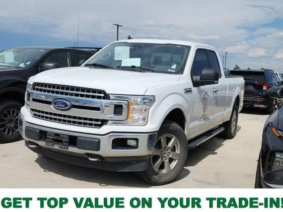 FORD F-150 2019 1FTEX1EP2KFA86134 image