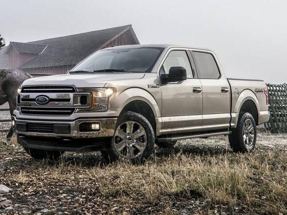 FORD F-150 2019 1FTEW1CB8KKE69786 image