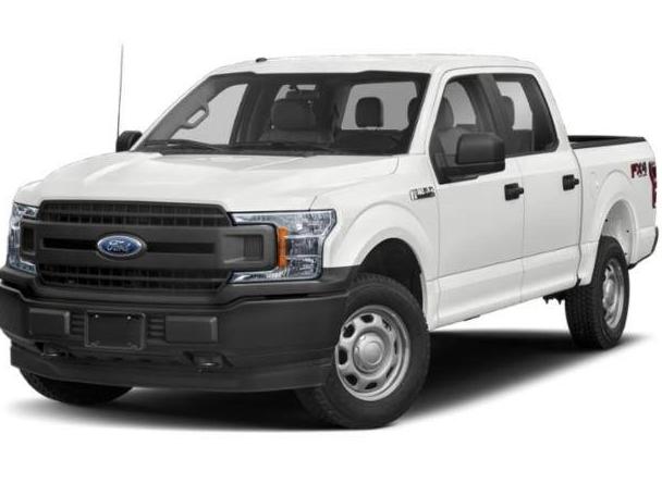 FORD F-150 2019 1FTEW1EP0KKF30010 image