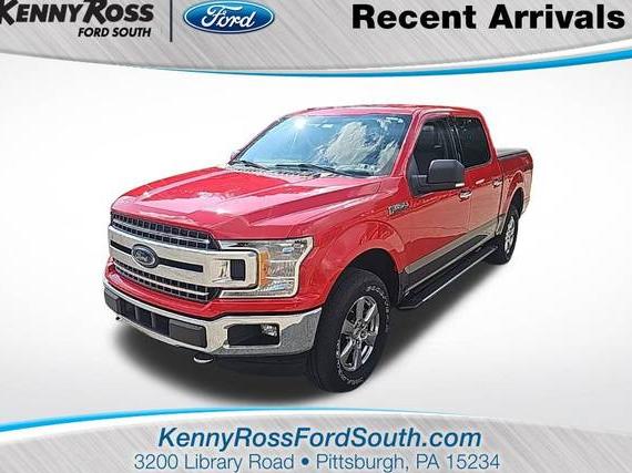 FORD F-150 2019 1FTEW1E40KFD43705 image