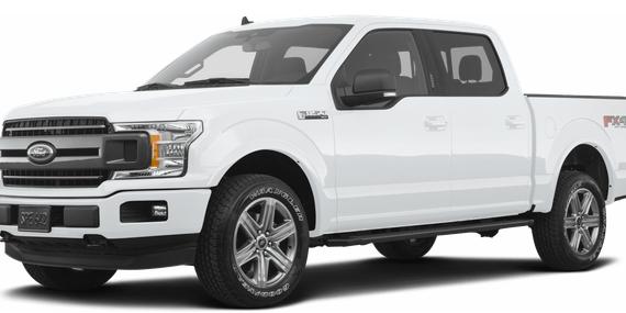 FORD F-150 2019 1FTEW1E42KKE49600 image