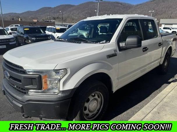 FORD F-150 2019 1FTEW1E51KFB33459 image