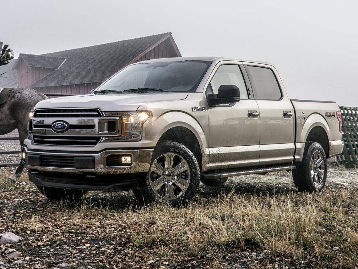 FORD F-150 2018 1FTEW1EG4JFE39734 image