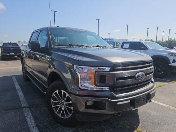FORD F-150 2018 1FTEW1EG0JKD44465 image