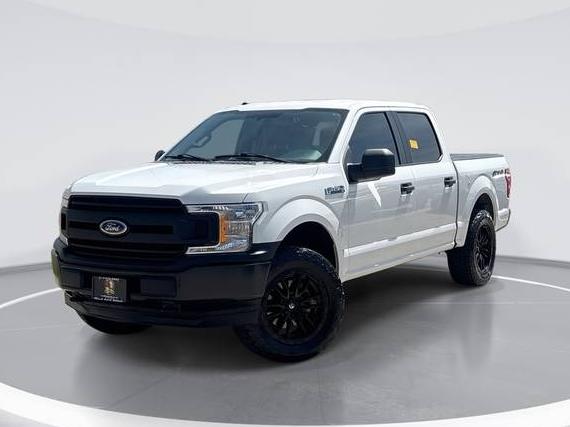 FORD F-150 2018 1FTEW1EP1JFD80724 image