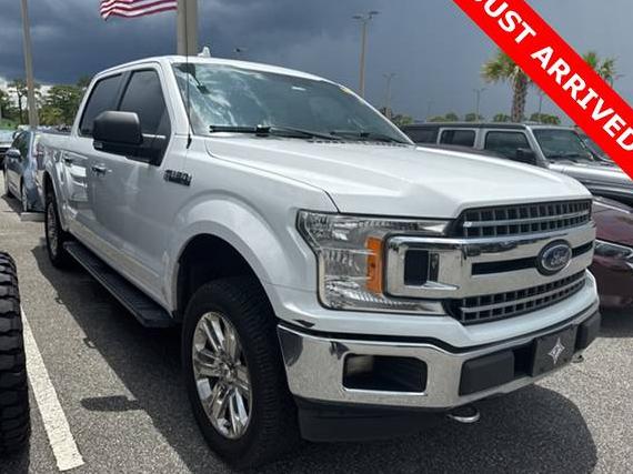 FORD F-150 2018 1FTEW1EP4JFB92053 image