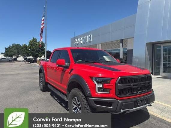 FORD F-150 2018 1FTFW1RG0JFA06393 image