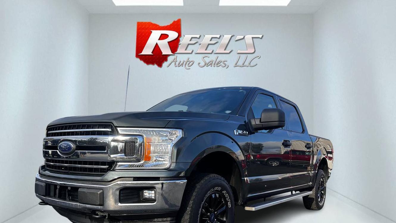 FORD F-150 2018 1FTEW1EG0JKE79493 image