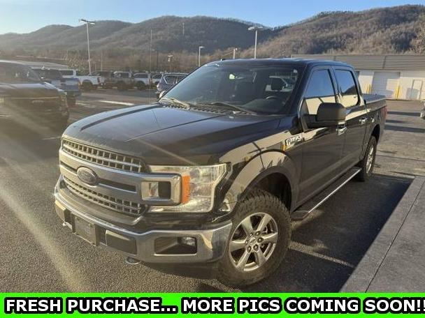 FORD F-150 2018 1FTEW1E58JKD49458 image