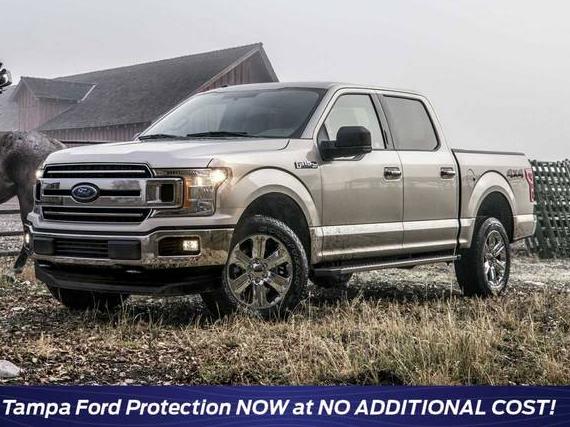 FORD F-150 2018 1FTEW1CP9JKD00953 image