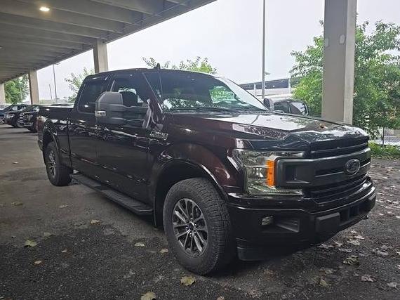 FORD F-150 2018 1FTFW1EG5JFA81970 image