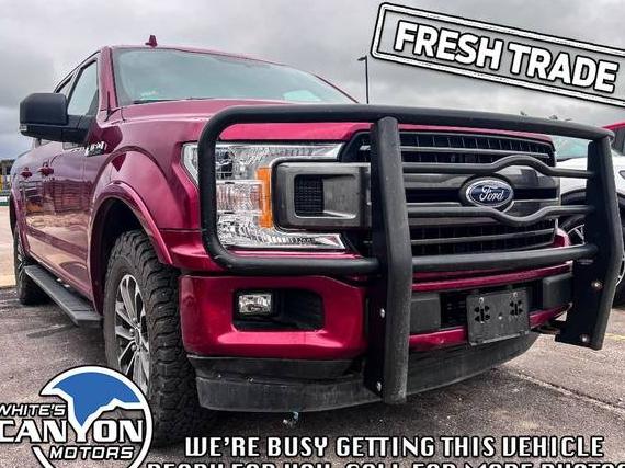 FORD F-150 2018 1FTEW1EG1JFC51477 image