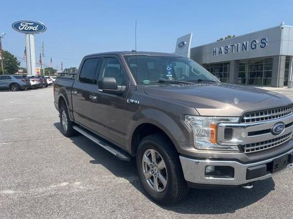 FORD F-150 2018 1FTEW1EP6JFC38806 image