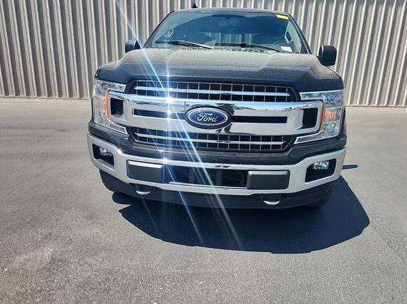 FORD F-150 2018 1FTEW1EP1JFD75040 image