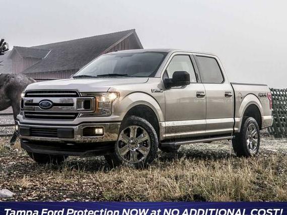 FORD F-150 2018 1FTEW1CP0JFB64706 image