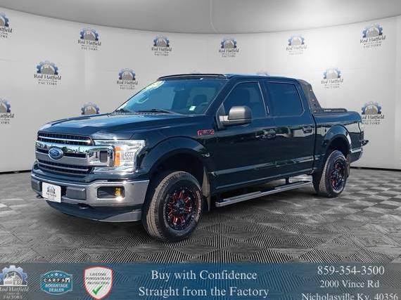 FORD F-150 2018 1FTEW1EG0JFD61680 image