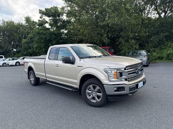 FORD F-150 2018 1FTFX1EG9JKD42036 image