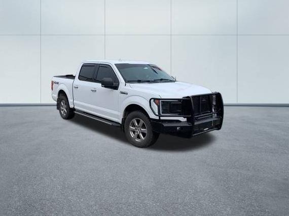 FORD F-150 2018 1FTEW1EP2JFD50258 image