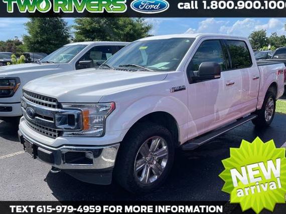 FORD F-150 2018 1FTEW1E50JFC10465 image