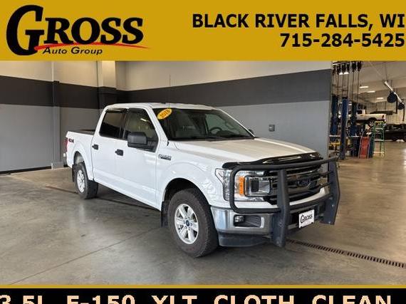 FORD F-150 2018 1FTEW1EG9JFB86958 image
