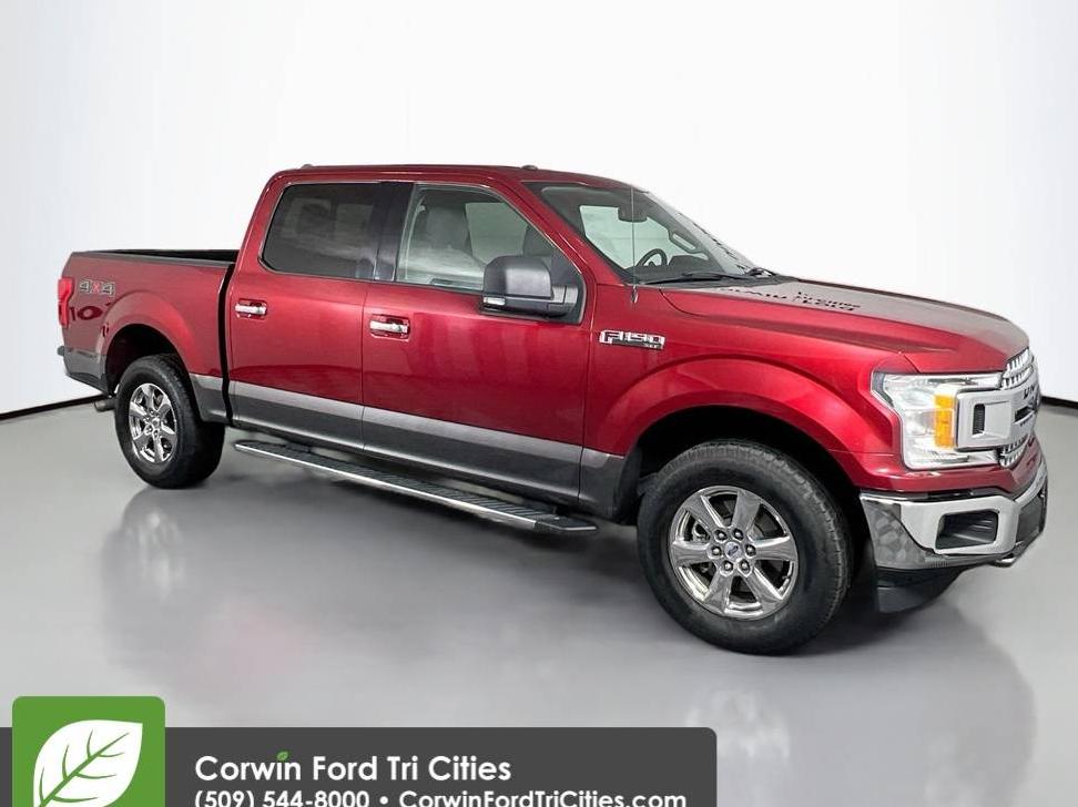 FORD F-150 2018 1FTEW1EP1JKE76974 image