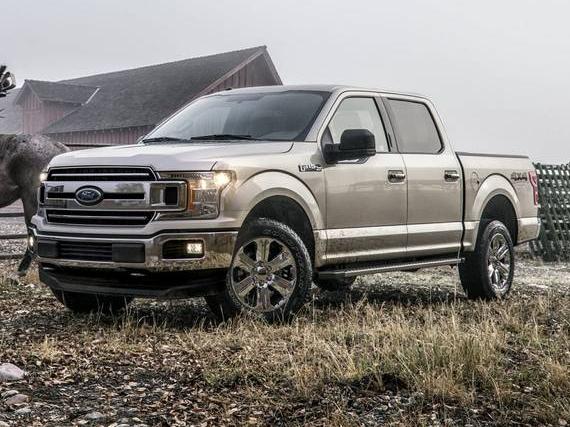FORD F-150 2018 1FTEW1EG9JFE23271 image