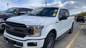 FORD F-150 2018 1FTEW1EG7JFD50238 image