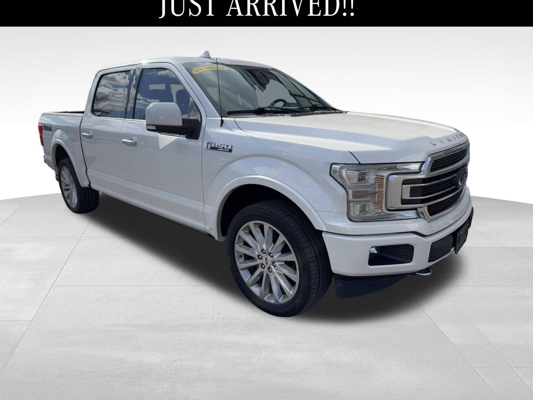 FORD F-150 2018 1FTEW1EG3JFE57738 image