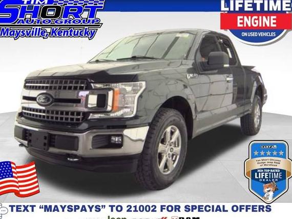 FORD F-150 2018 1FTFX1E52JKC76055 image