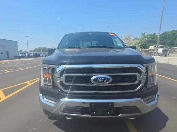FORD F-150 2021 1FTFW1E87MKD63161 image