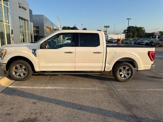 FORD F-150 2021 1FTEW1CP1MKE80174 image