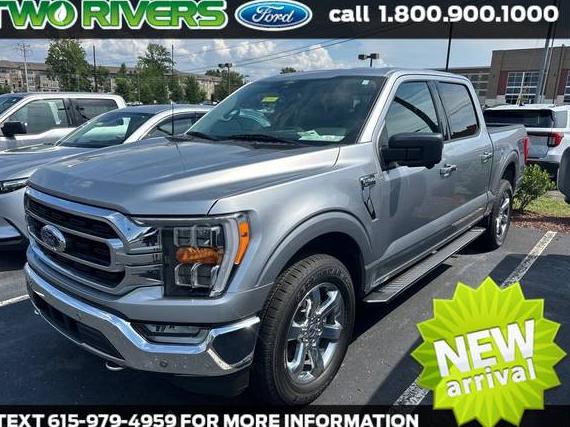 FORD F-150 2021 1FTEW1EP1MFC18919 image