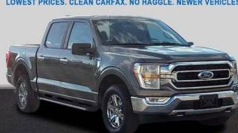 FORD F-150 2021 1FTEW1EP7MKD76933 image
