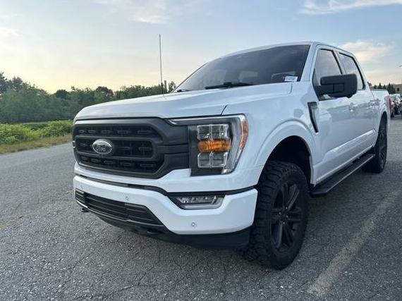 FORD F-150 2021 1FTFW1E53MFC68224 image